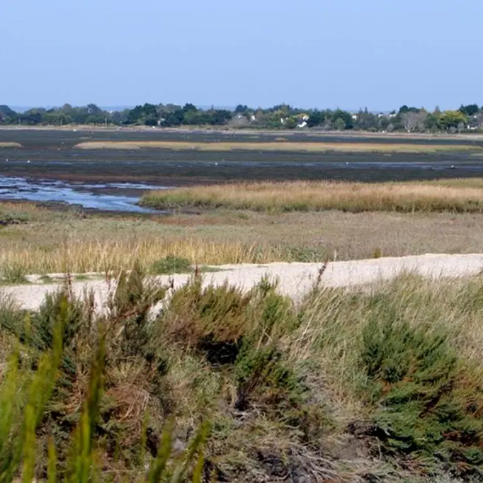 Marais La Villeneuve - Le Hézo - Morbihan Bretagne Sud