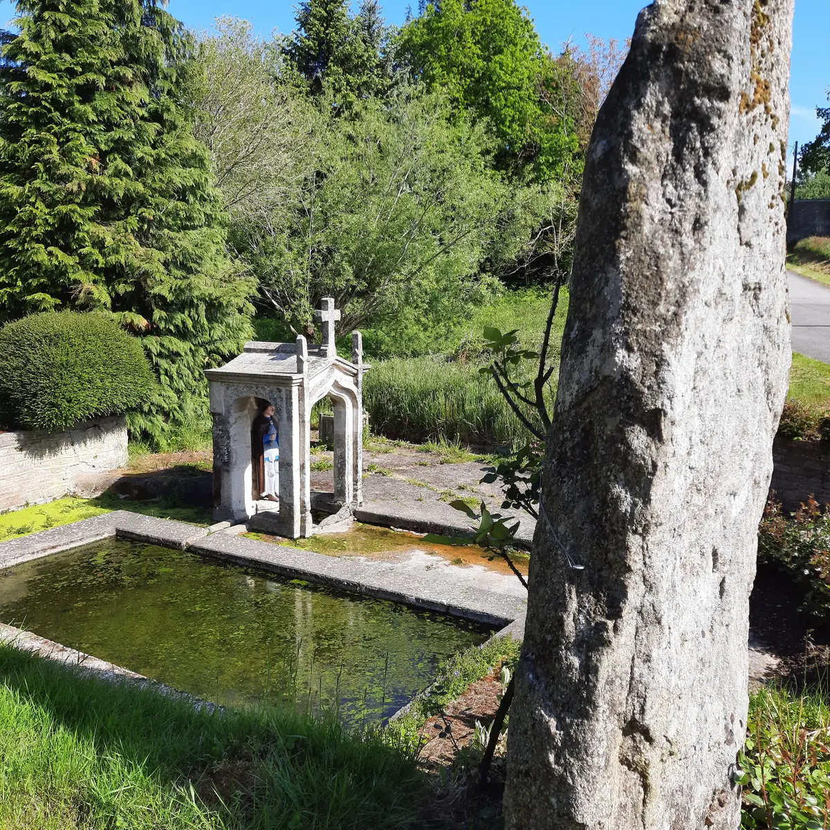 fontaine-saint-maurice-saint-aubin-plumelec (2)