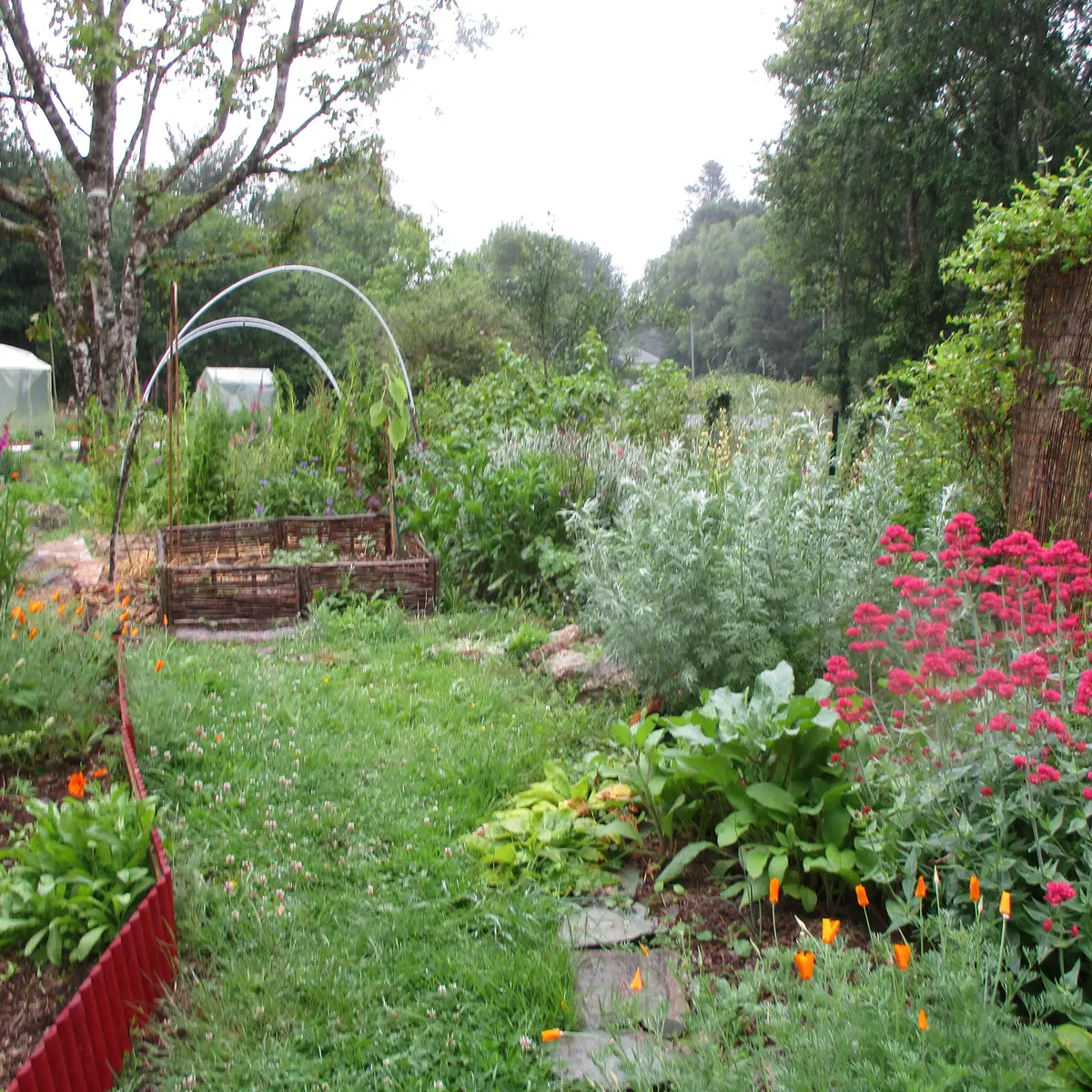 jardin