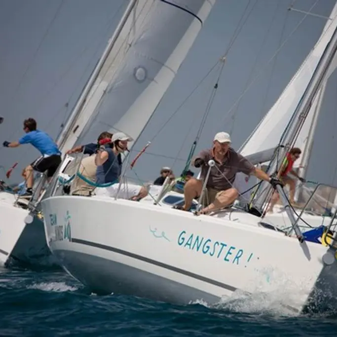 Régate d'entreprise avec Team Winds