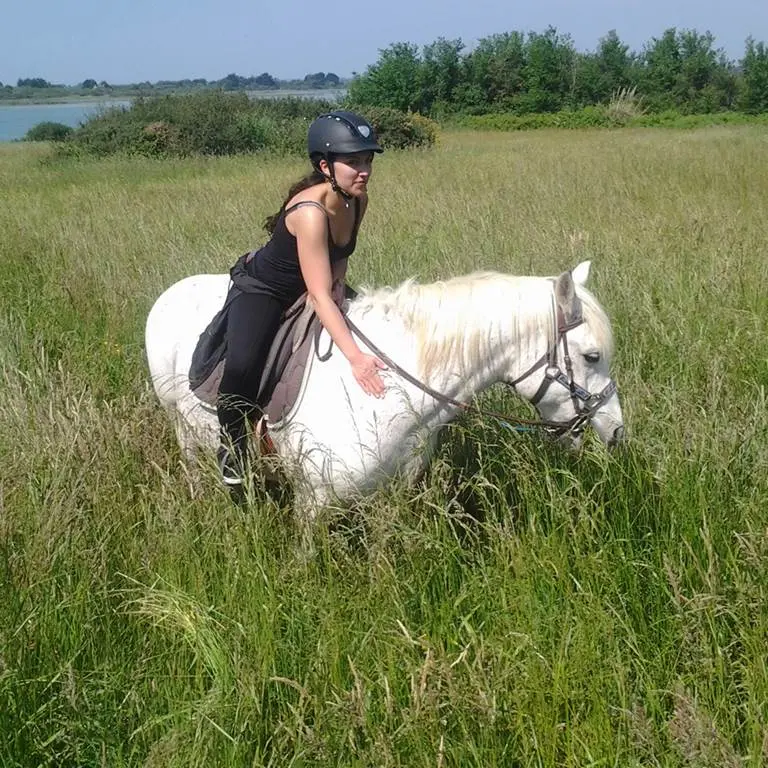 La-Calèche-de-Séné-Golfe-du-Morbihan-Bretagne sud