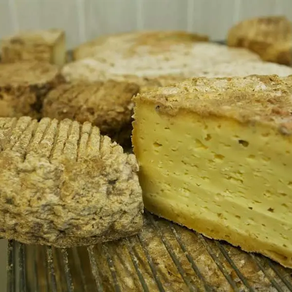 Brebis d'Ecouves - St Nicolas des Bois