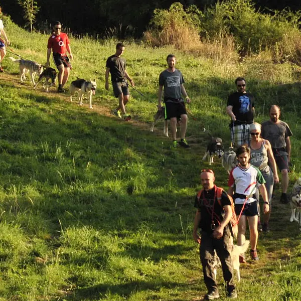 Cani Rando Récréative