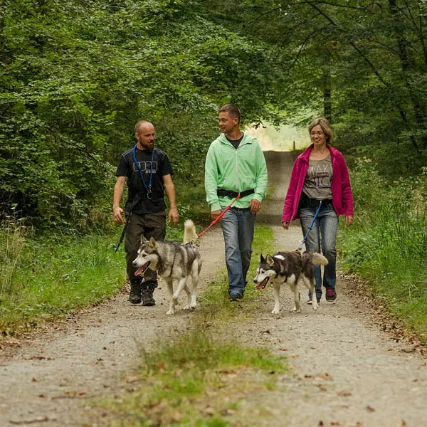 Cani Rando Récréative