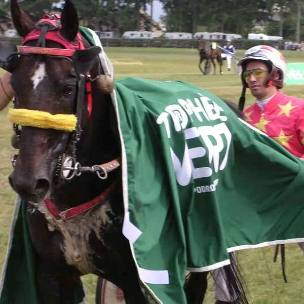 Hippodrome d'Alençon