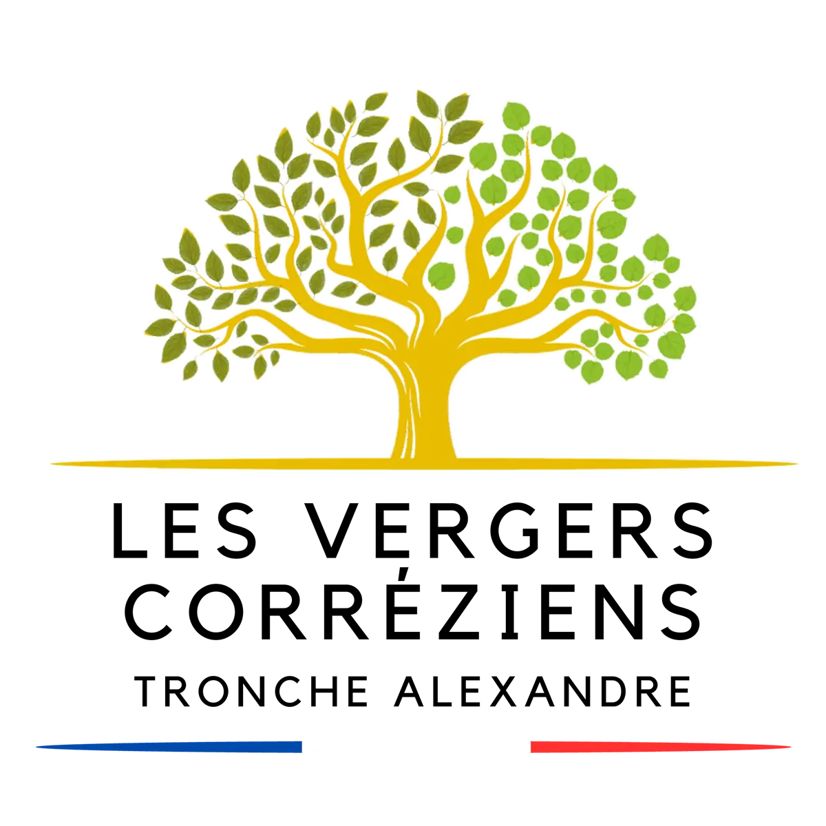 Grey Fast Food Truck Round Logo (1280 × 1280 px) - 47