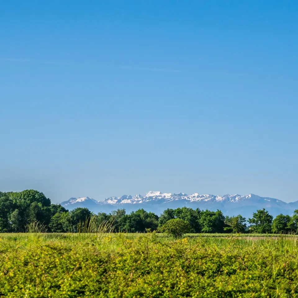 Uzein - vue Pyrénées