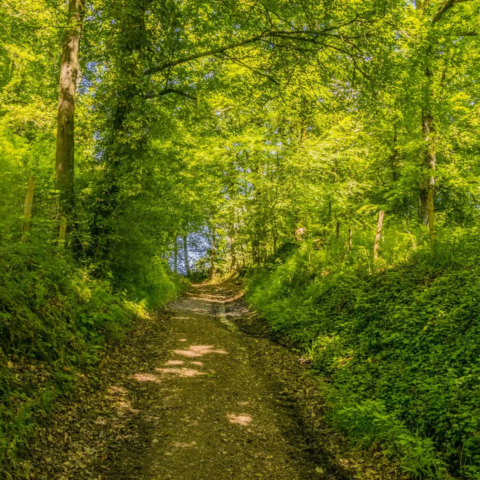 Le cap d'Arrandes - Arbus - Chemin