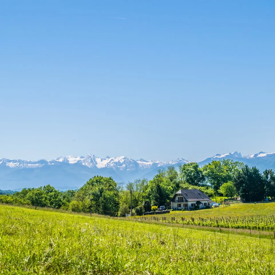 Le cap d'Arrandes - Arbus - Vue pyrénées 1