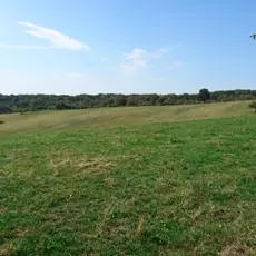 2016-10-06_14-48-10.jpg1