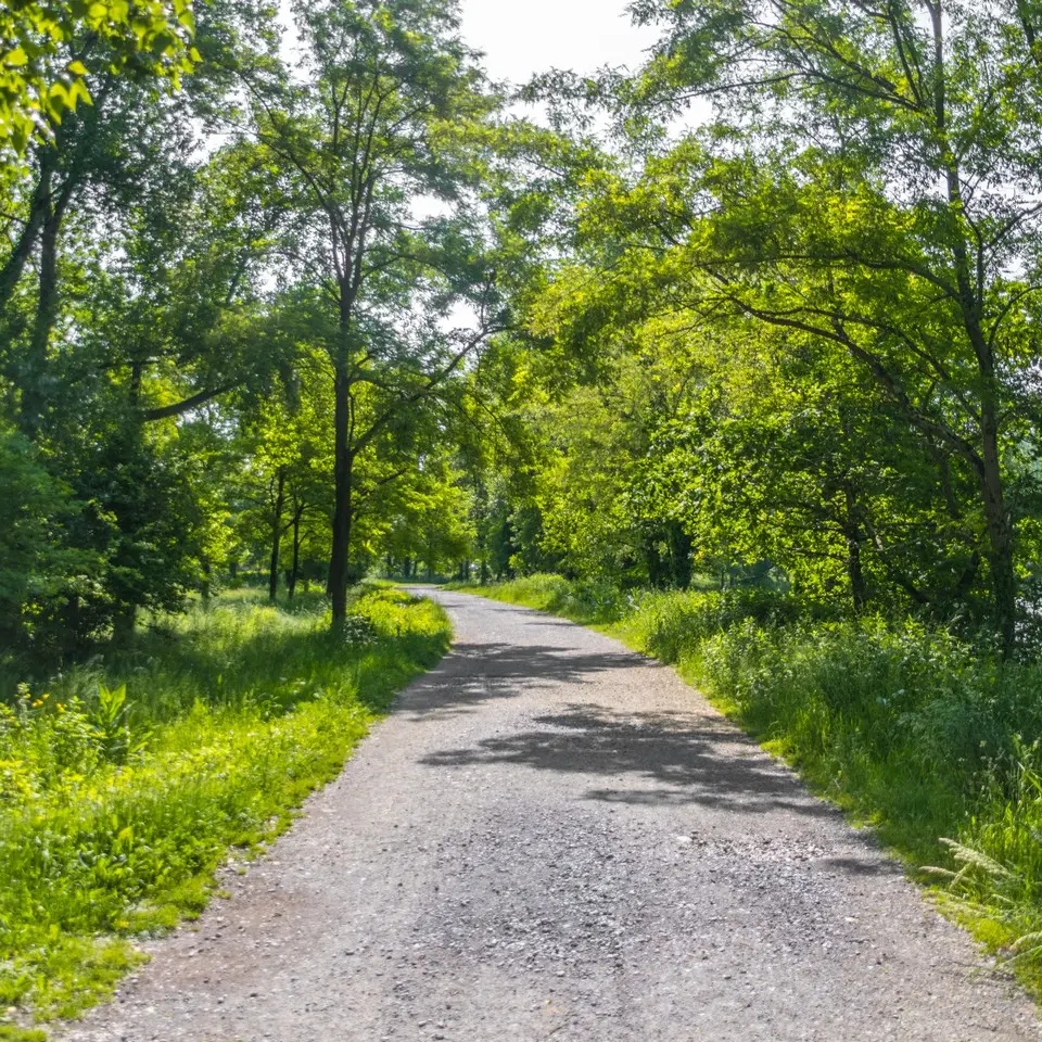 Les lacs de Laroin - Bord du Gave