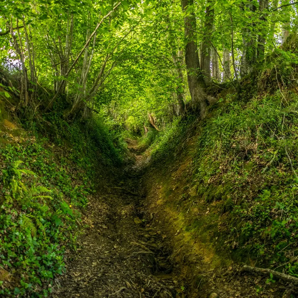 Côteaux de las hies - Chemin