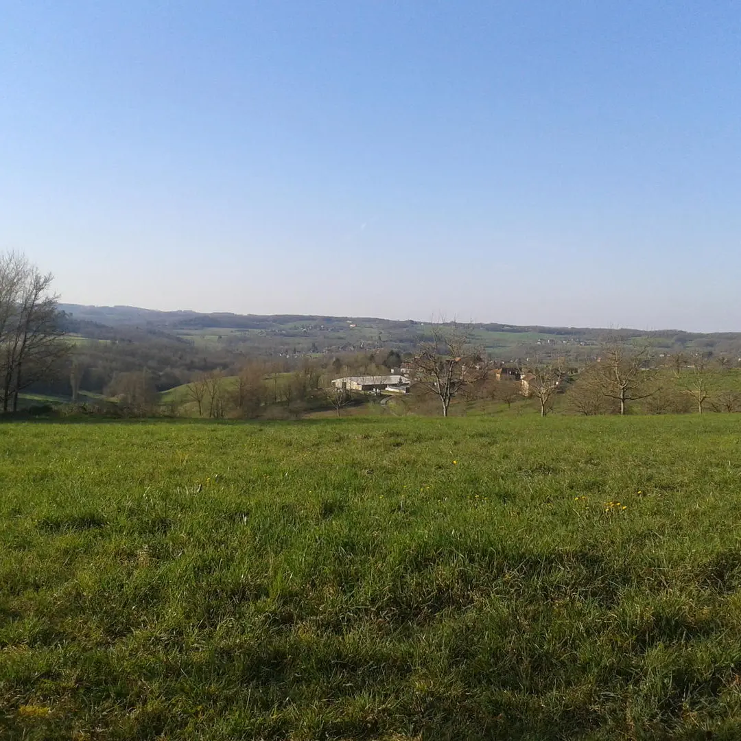 table de pique nique 3