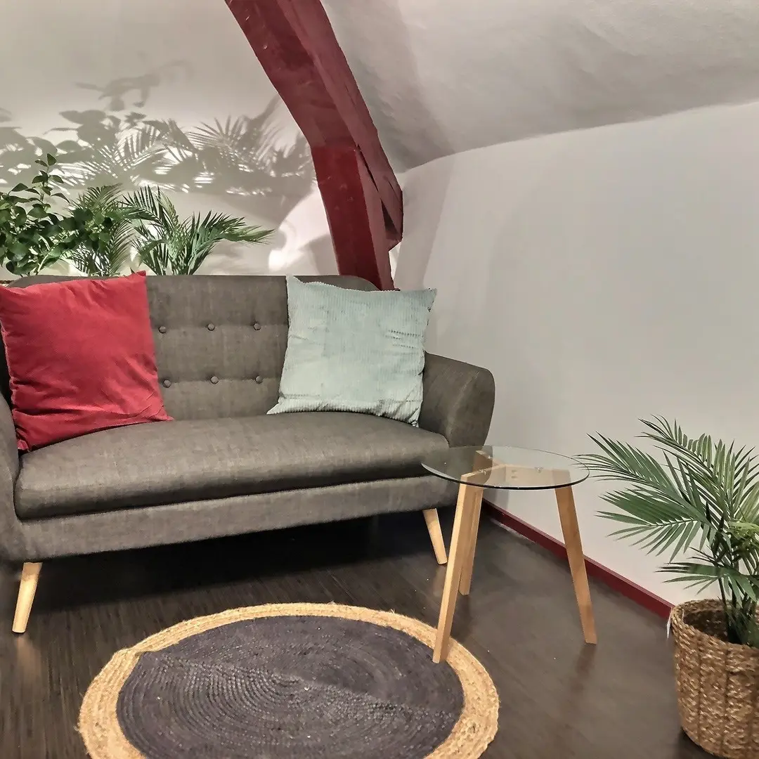 WonderHost Taylor - Pau - côté salon