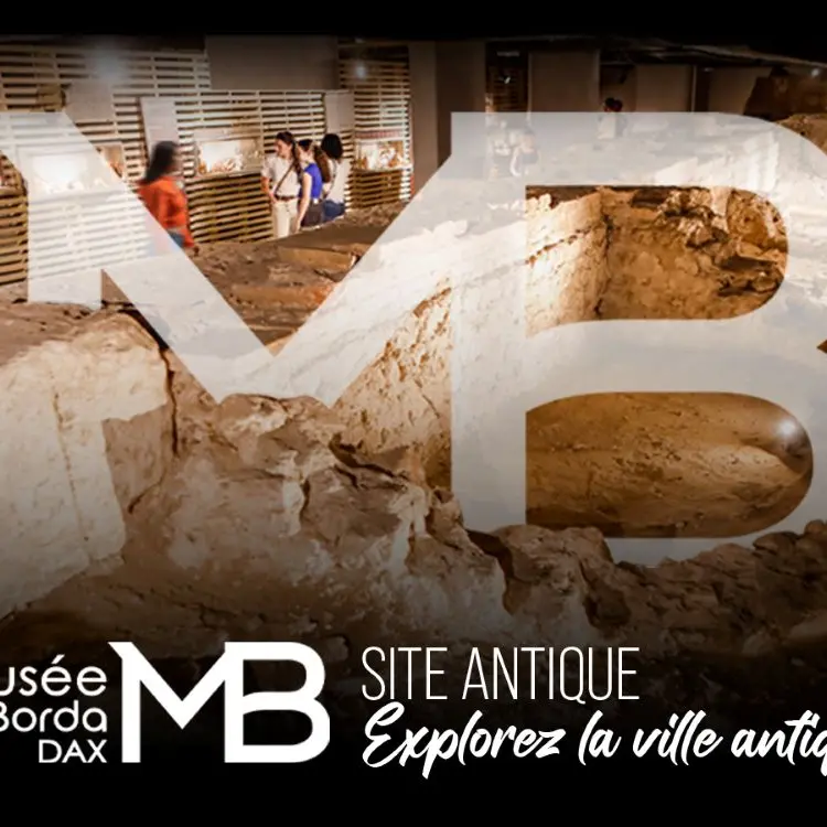 Musée de Borda