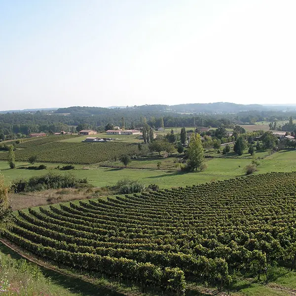 villefranche_de_lonchat_vue_vigne
