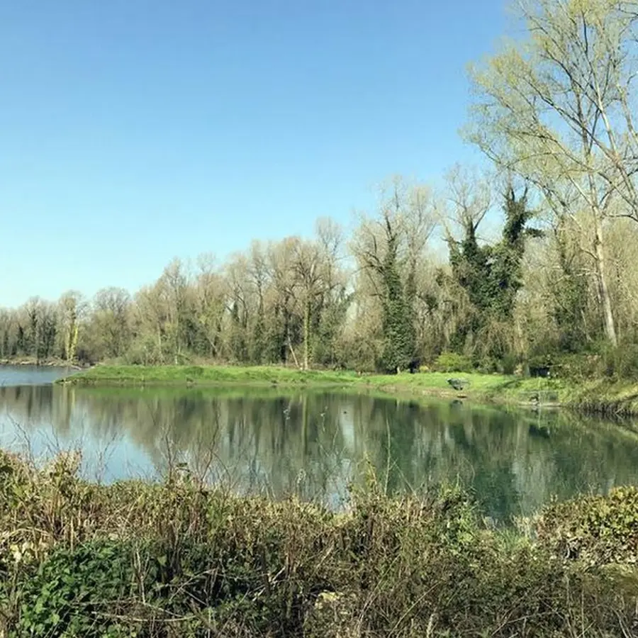 Laroin- le gave sous le pont