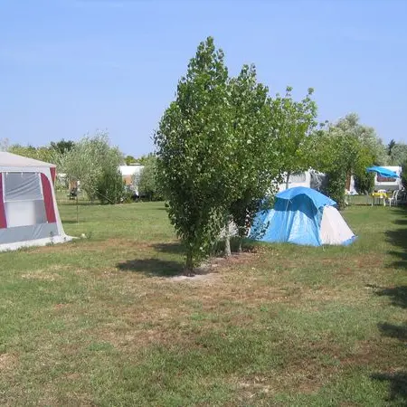 Aire naturelle l'Alouette