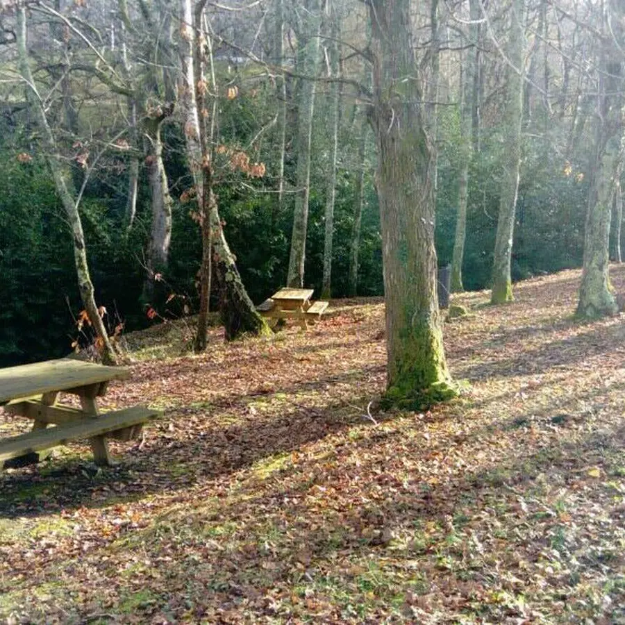 Aire pique nique - Aubertin - chemin de Pépic 2