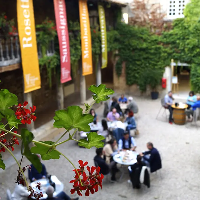 Cloitre-des-Recollets-3