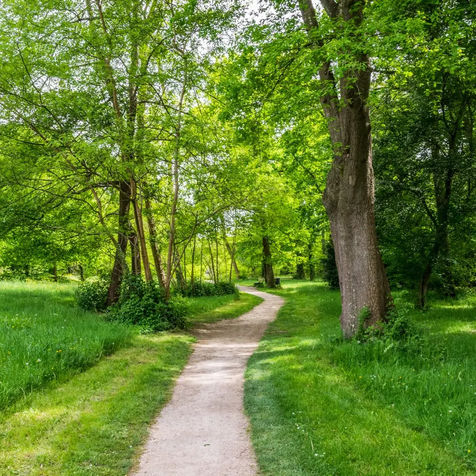Lons - Lanot - Chemin long de l'Ousse