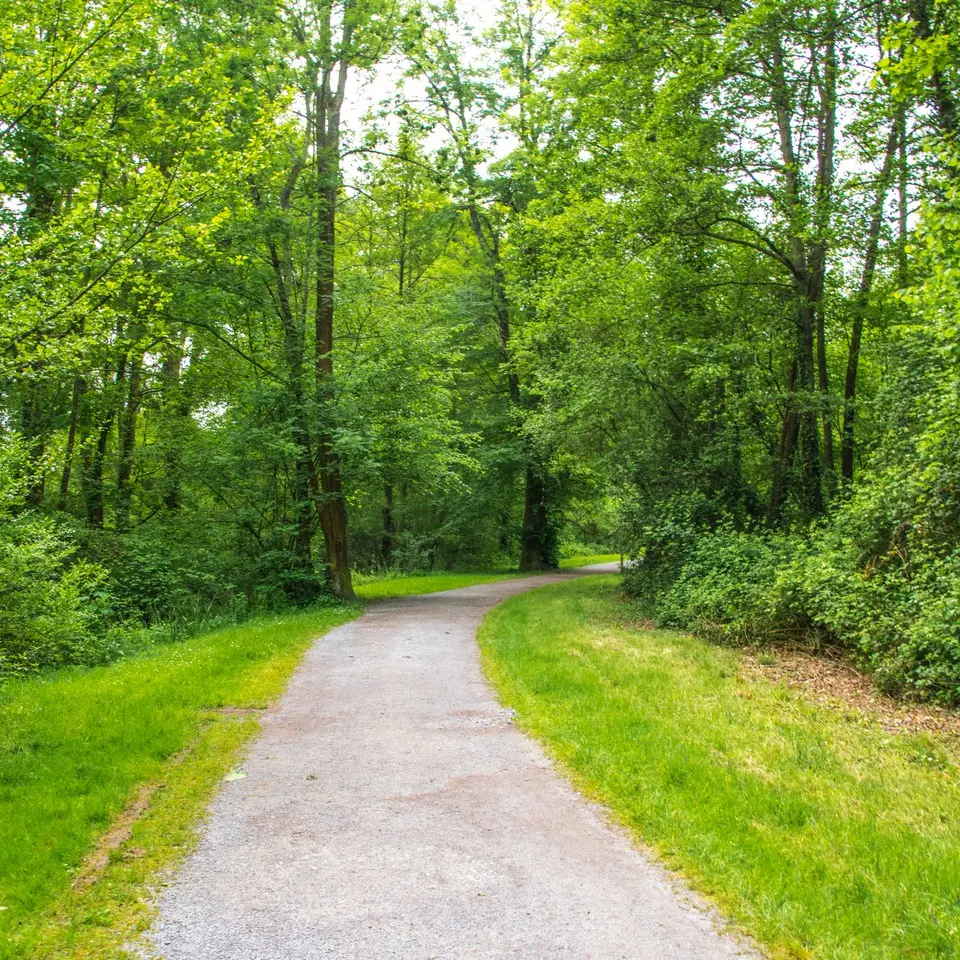 Lons - Lanot - Chemin