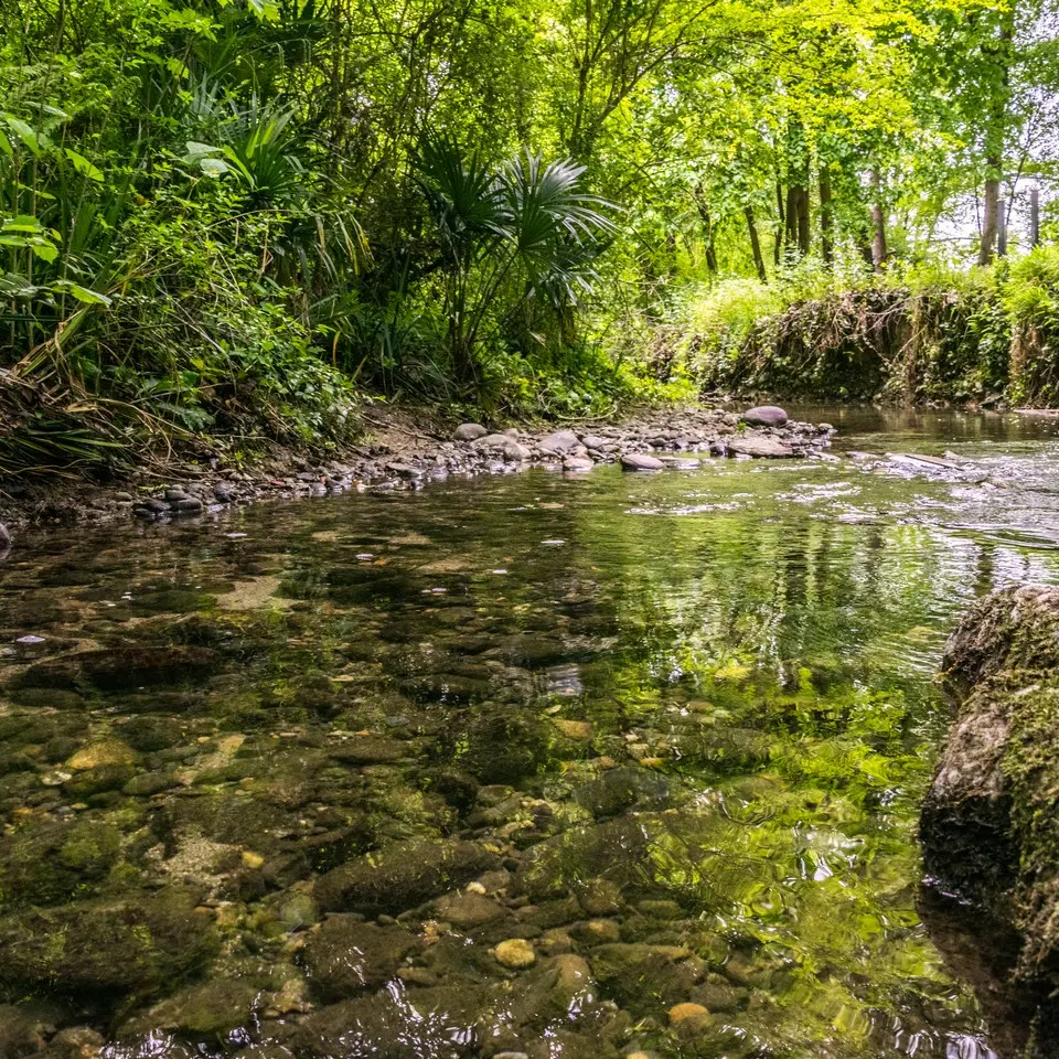 Lons - Lanot - Ruisseau
