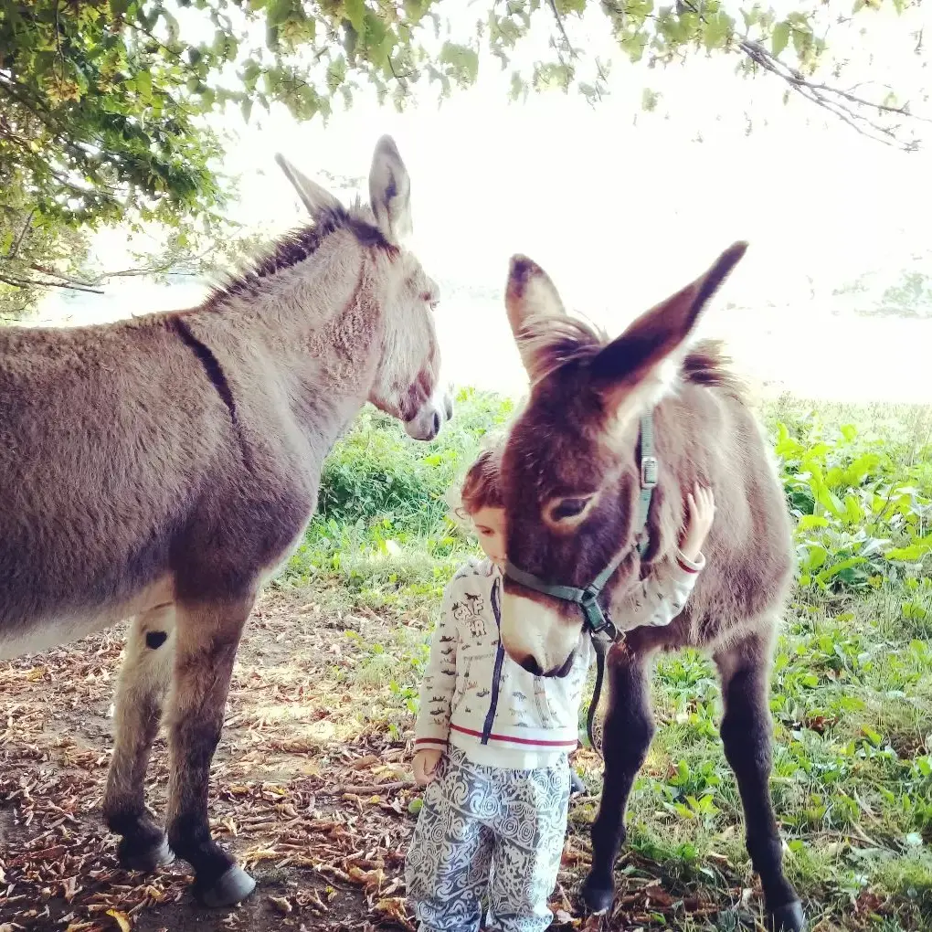 Dans la série photo attendrissante, j'aime beaucoup celle-ci ! Aglaé, deux ans et demi et Naïade, 5 mois #babies #anons
