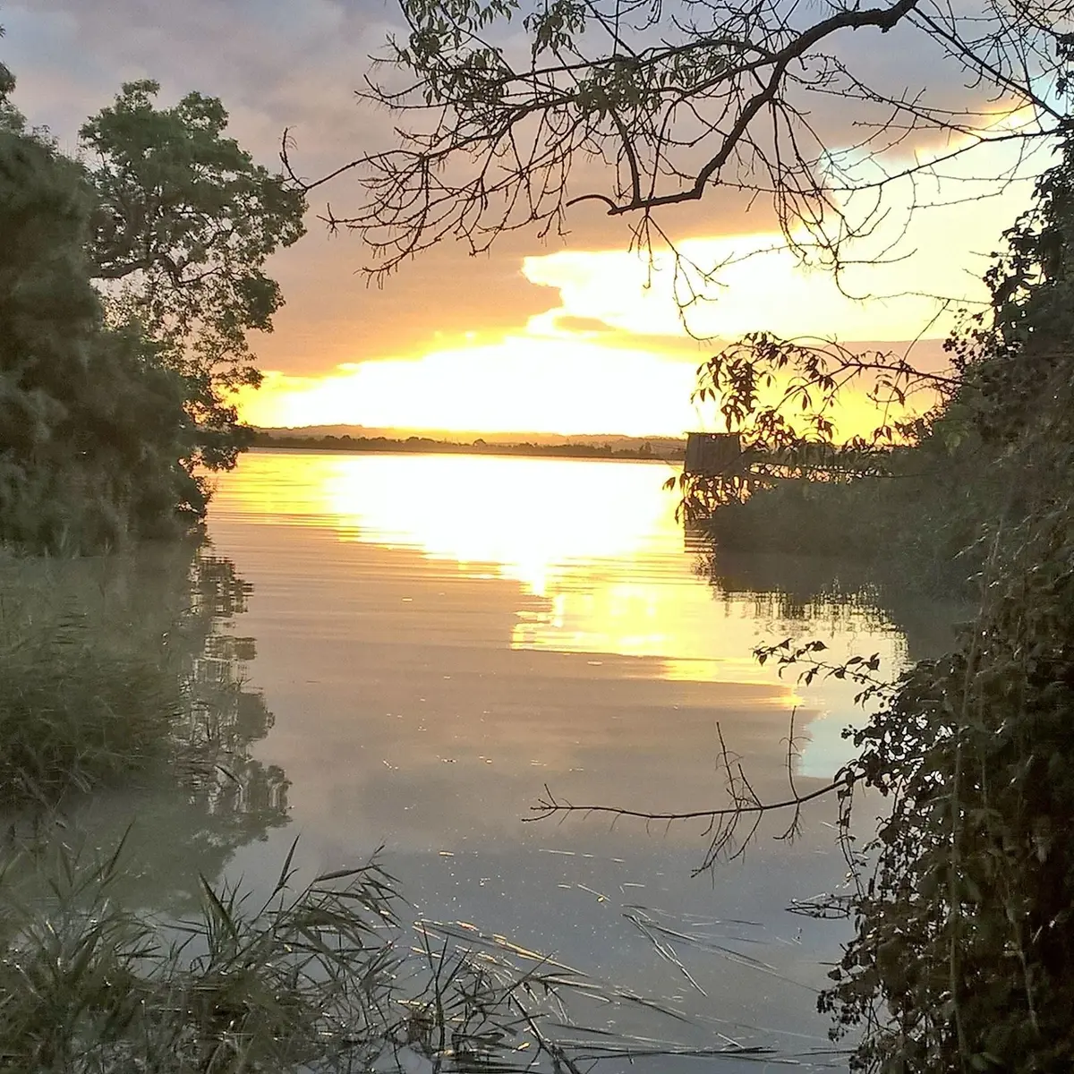La Ferme de Dudu (3)