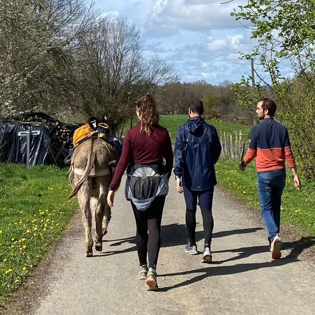 La saison des randonnées est lancée ! Ce week-end, ce sont deux groupes d'adultes qui ont pu arpenter les sentiers correziens. Ici en compagnie de Vicomte sur le POC (ancienne voie de chemin de fer Paris-Orléans-Corrè