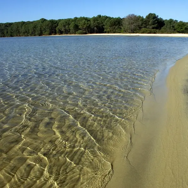 Lac de Cazaux