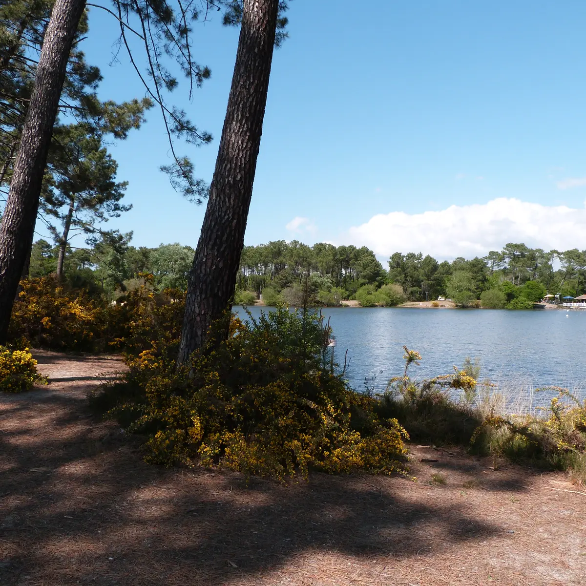 Lac de la Magdeleine (2)