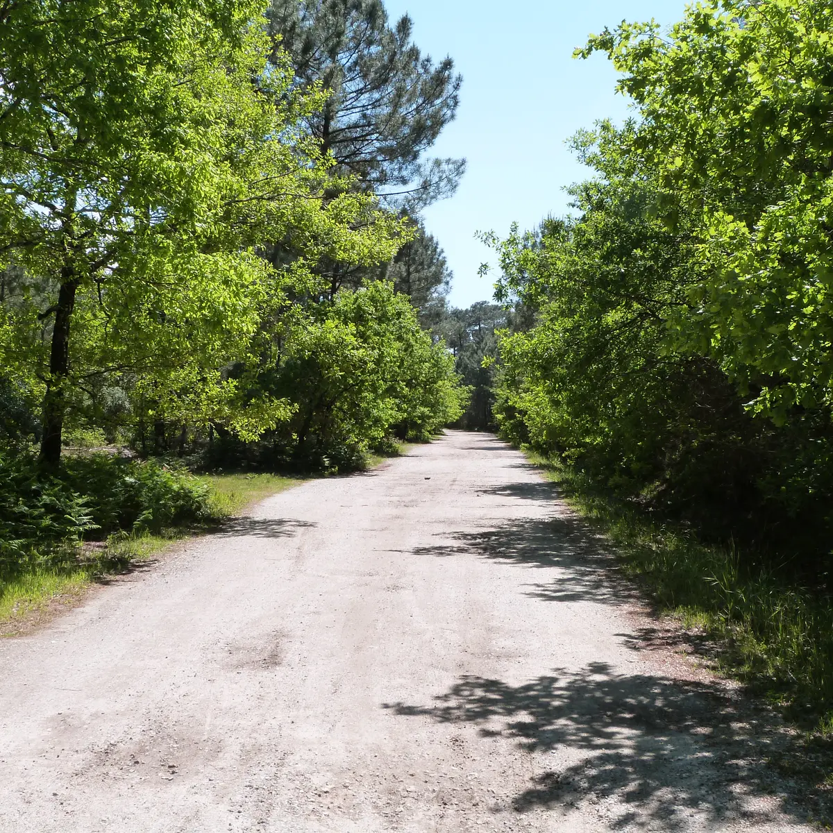 Lac de la Magdeleine (3)