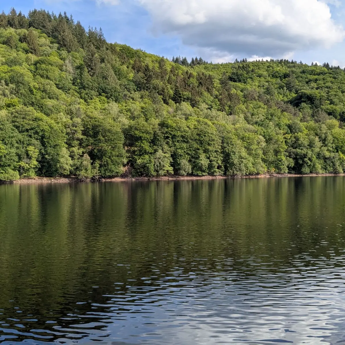 Lac des Bariousses