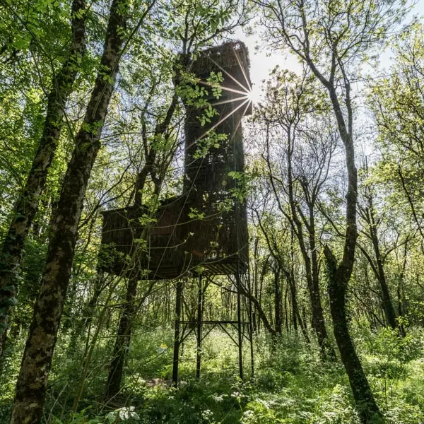 Les-Palombières-marais-de-Labarde2