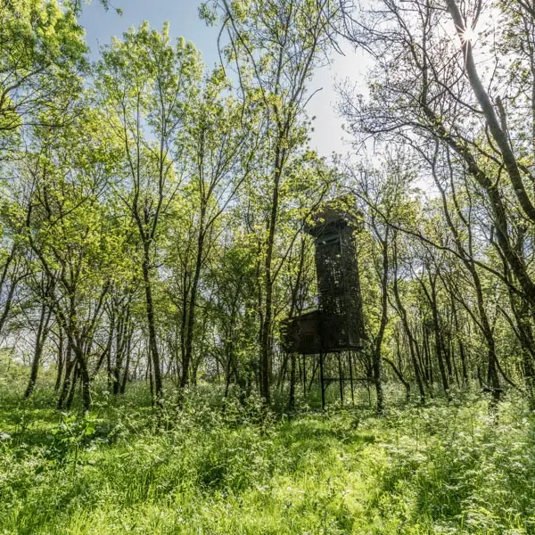 Les-Palombières-marais-de-Labarde3