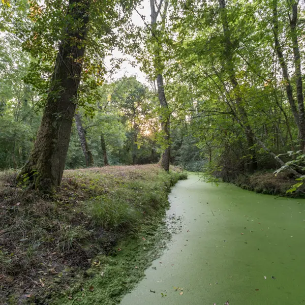 Les-mairais-de-Labarde3