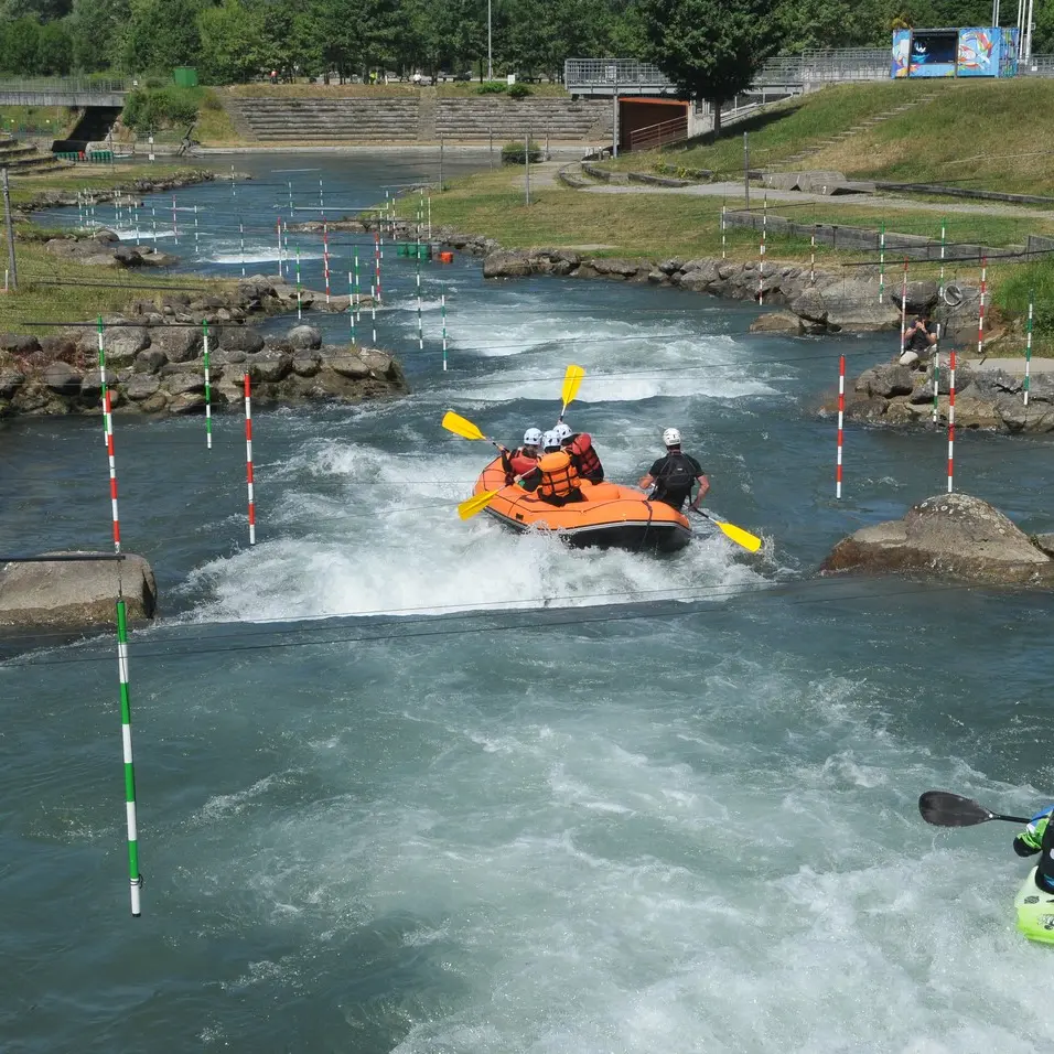 Pau-Narcastet-PI1-BVK