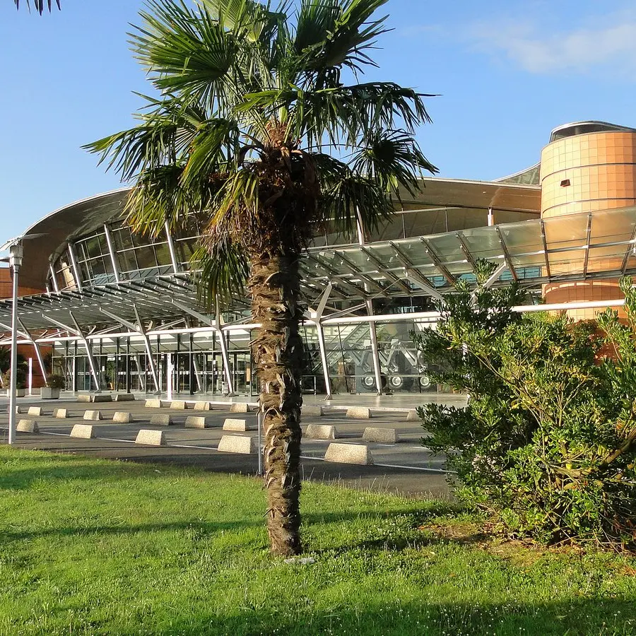 Pau aéroport 001