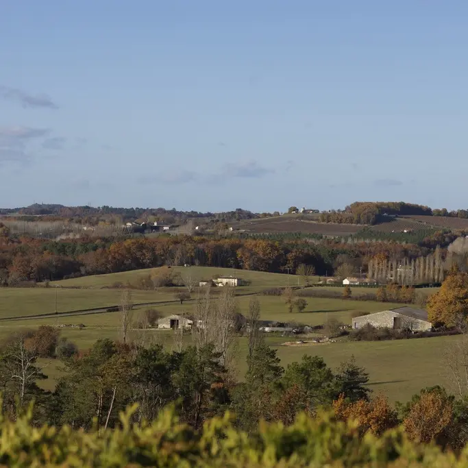 Paysages campagne Montpeyroux © MC Grasseau - OT Bergerac (12)