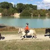 Poney-Club-01