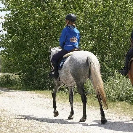 Poney-Club-03