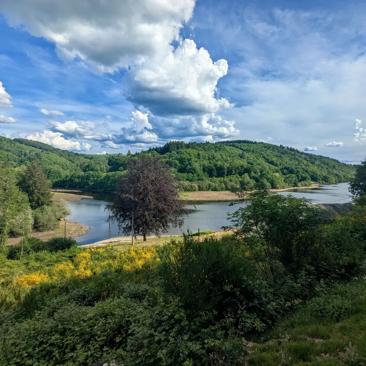Point de vue sur les bariousses St-Hilaire-Les-Courbes (1)