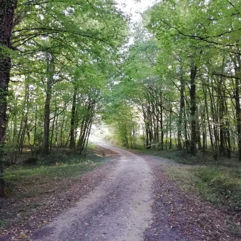 Prigonrieux - Claud de Bled (8)