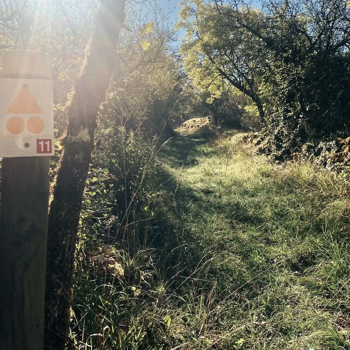 SAINT-PANTALY-D'EXCIDEUIL-Boucle des Causses verts-Chemin-Poteau