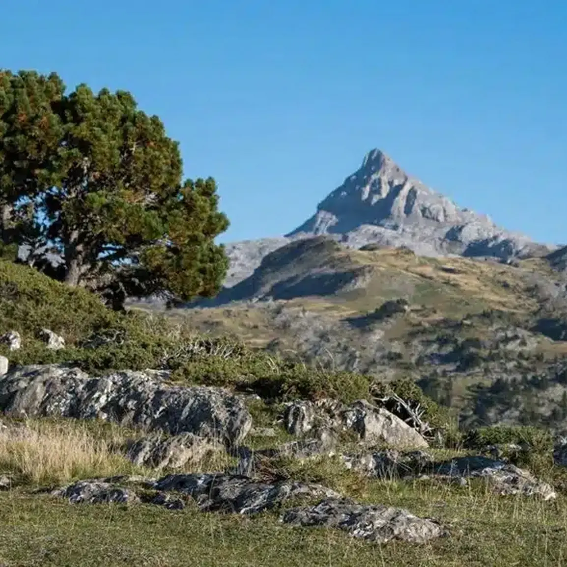 alter rando - Pau - les Pyrénées 2