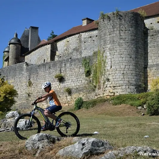 VTT-chateau
