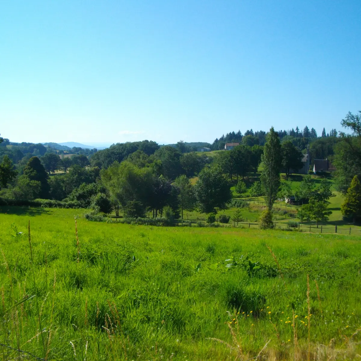 Vuegenerale_Mestes_Vallée_Victorien_Mendras