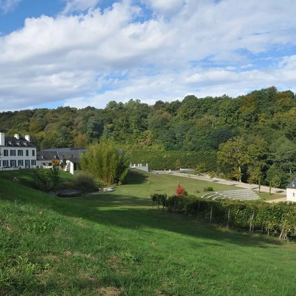 Domaine du Cinquau - Artiguelouve - le domaine