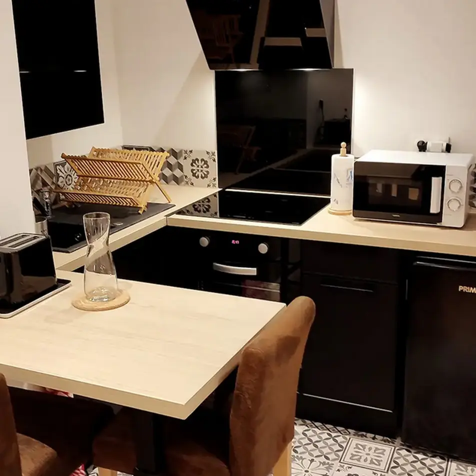 Appartement Canopée - Pau - côté kitchenette